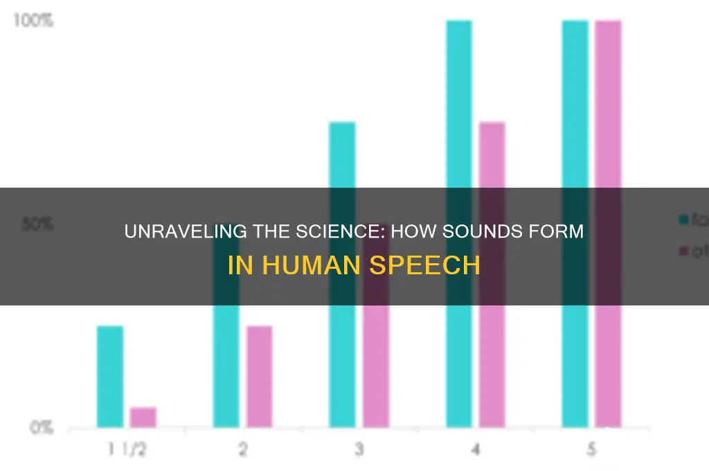 how sounds form in speech