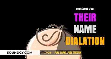 Unveiling the Origins: How Sounds Got Their Name Dialation