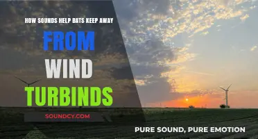 Sonic Solutions: How Bats Use Sound to Avoid Wind Turbines