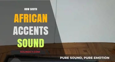 Exploring the Unique and Diverse Sounds of South African Accents