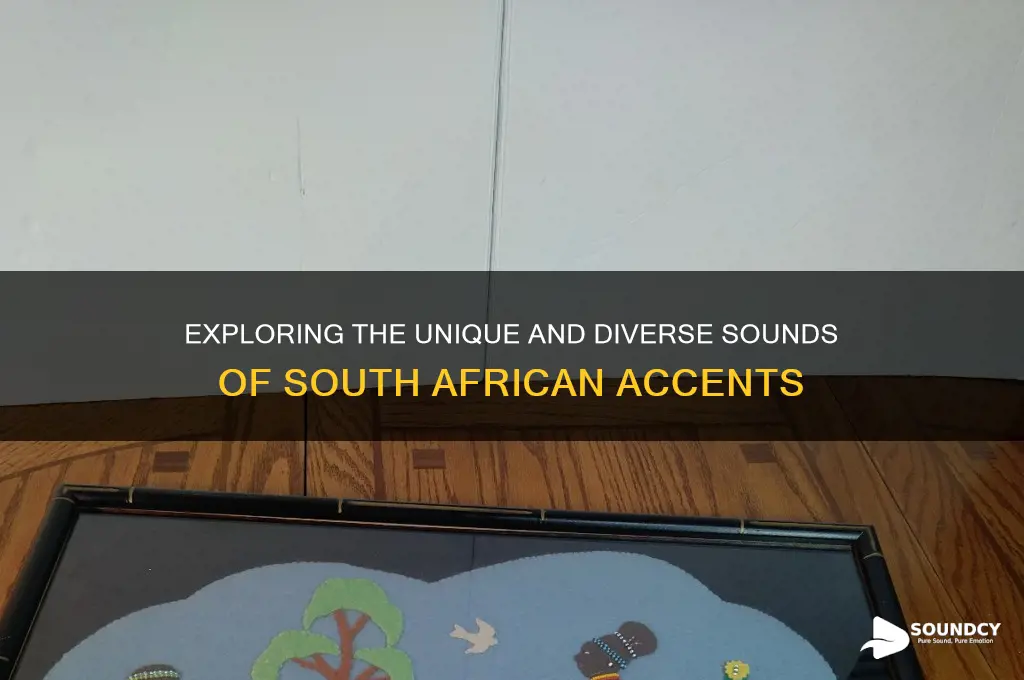 how south african accents sound