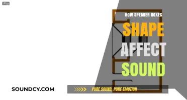How Speaker Box Design Influences Audio Quality and Sound Projection