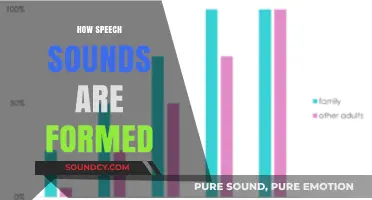 Unveiling the Art of Articulation: How Speech Sounds Are Formed