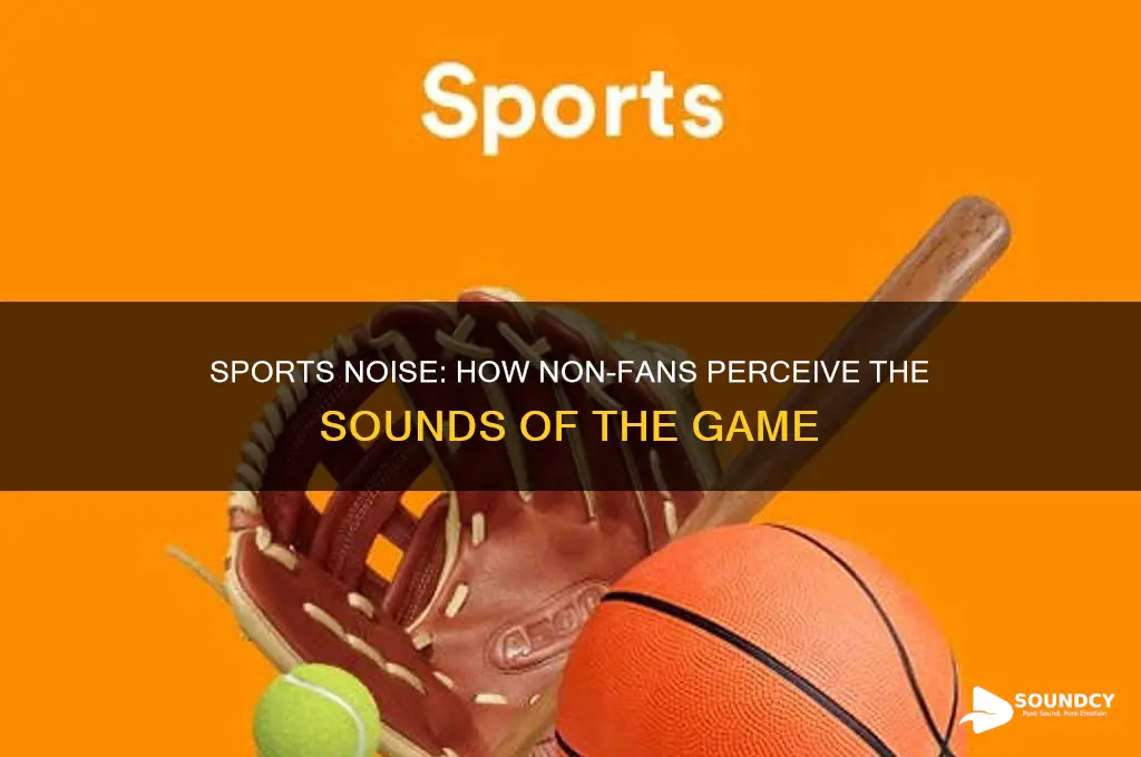 how sports sounds to non fans