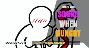 The Science Behind Growling Stomachs: Decoding Hunger Noises