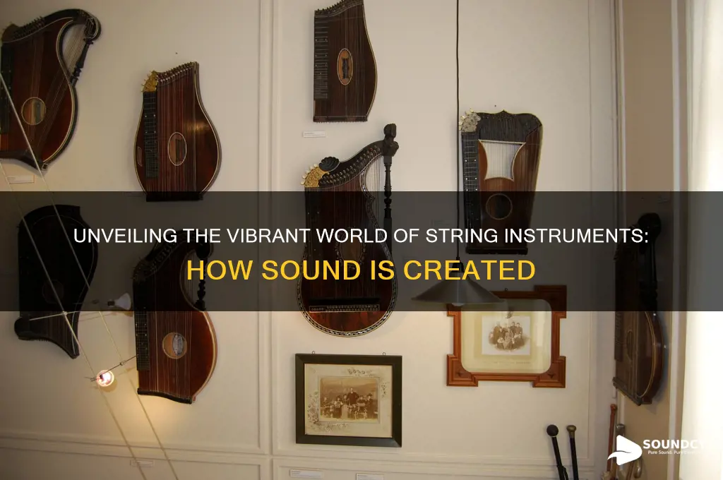 how string instruments make sound