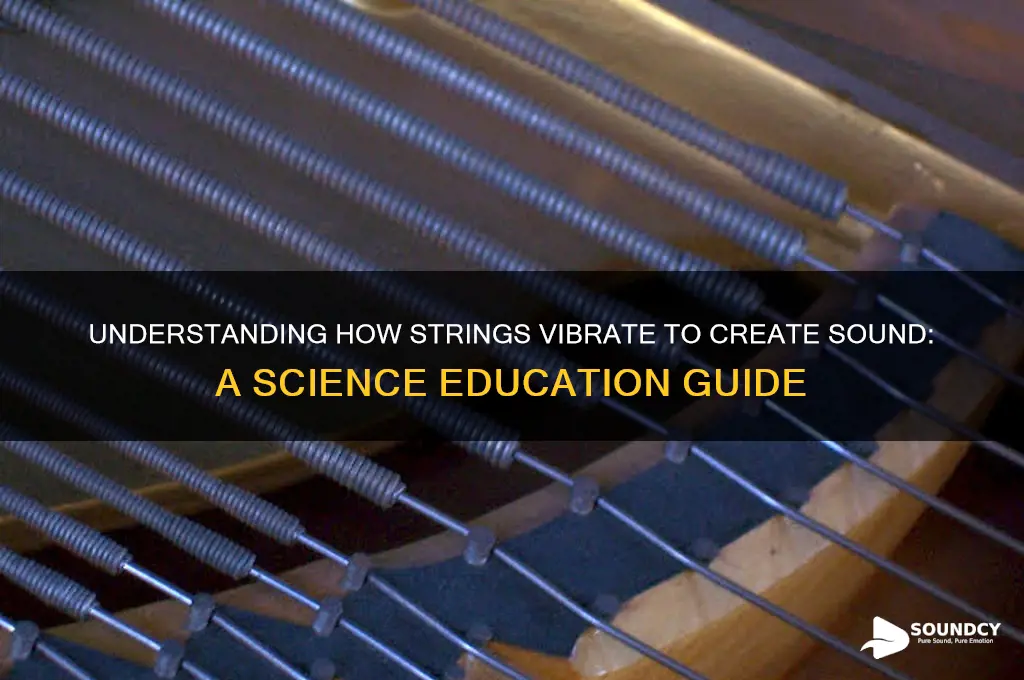 how strings make sound edu