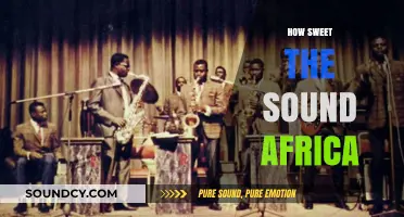 How Sweet the Sound: Celebrating Africa's Rich Musical Heritage