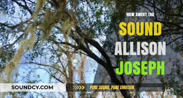 How Sweet the Sound: Exploring Allison Joseph's Poetic Melody