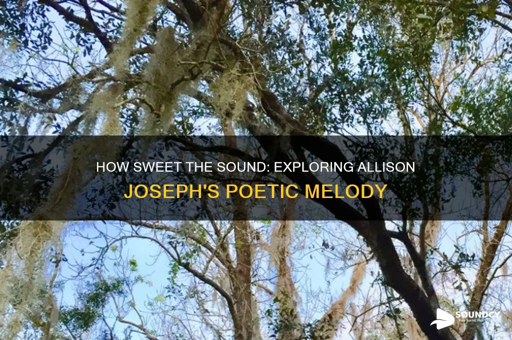 how sweet the sound allison joseph