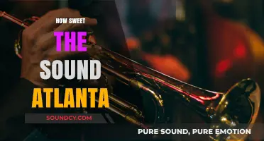 How Sweet the Sound: Atlanta's Soulful Music Legacy and Vibrant Culture