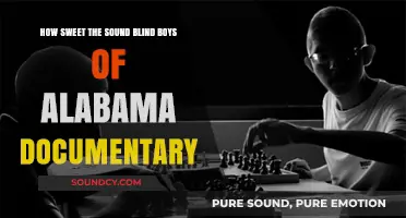 How Sweet the Sound: The Blind Boys of Alabama Documentary Explored