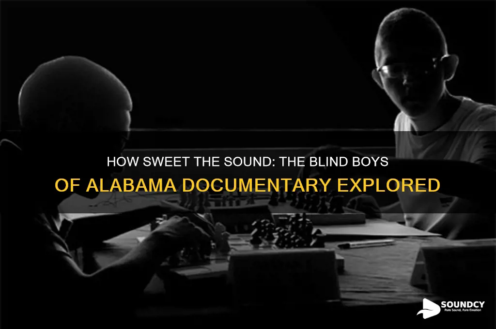 how sweet the sound blind boys of alabama documentary