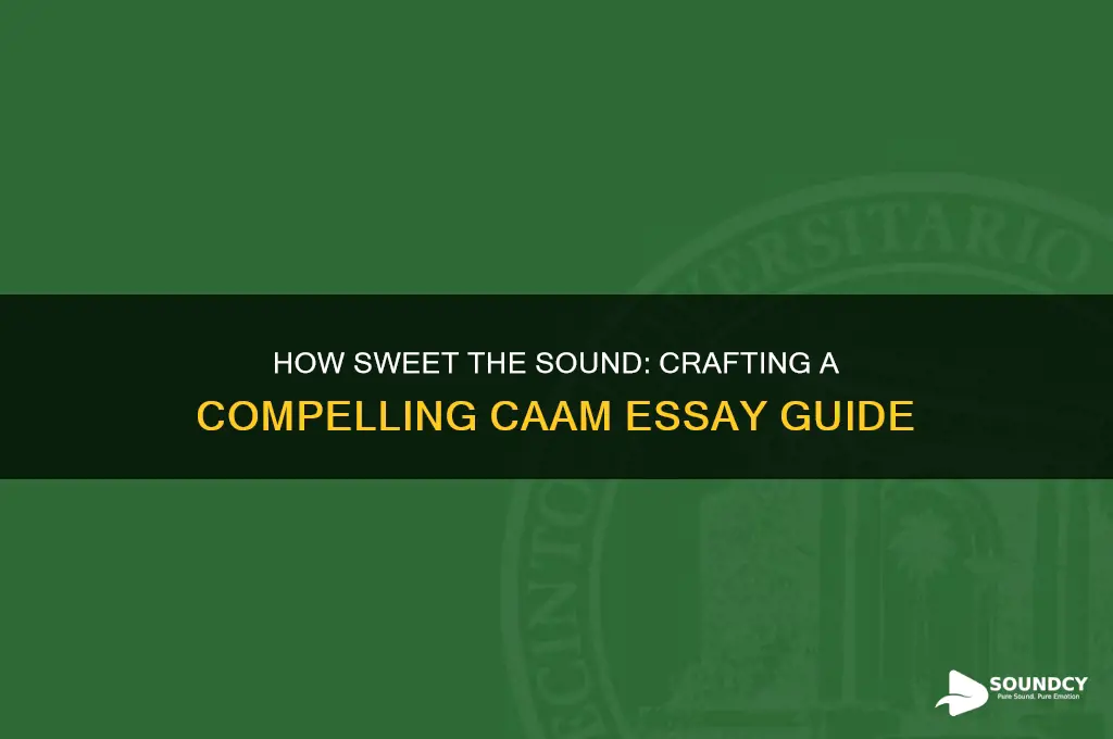 how sweet the sound caam essay