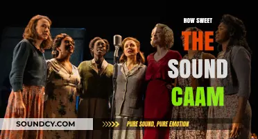 How Sweet the Sound: Unveiling the Magic of CAAM's Musical Journey
