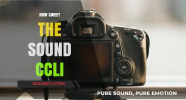 How Sweet the Sound: Exploring CCLI Licensing for Worship Music