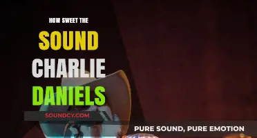 How Sweet the Sound: Charlie Daniels' Timeless Musical Legacy Explored