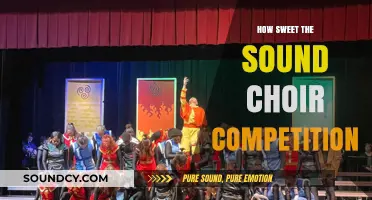 Harmonious Voices Rise: How Sweet the Sound Choir Competition Highlights