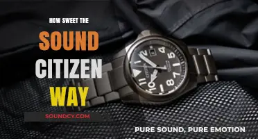 Sweet Sound: Citizen Way's Musical Journey