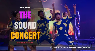 How Sweet the Sound: A Soulful Concert Experience to Remember
