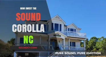 Discover Corolla, NC's Sweet Sounds: A Coastal Melody to Cherish