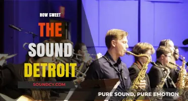 Detroit's Soulful Symphony: How Sweet the Sound Resonates in the Motor City