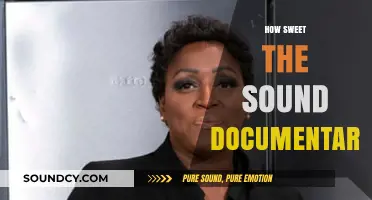 How Sweet the Sound: A Documentary Journey Through Gospel Music