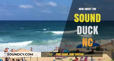How Sweet the Sound: Exploring Duck, NC's Musical Charm