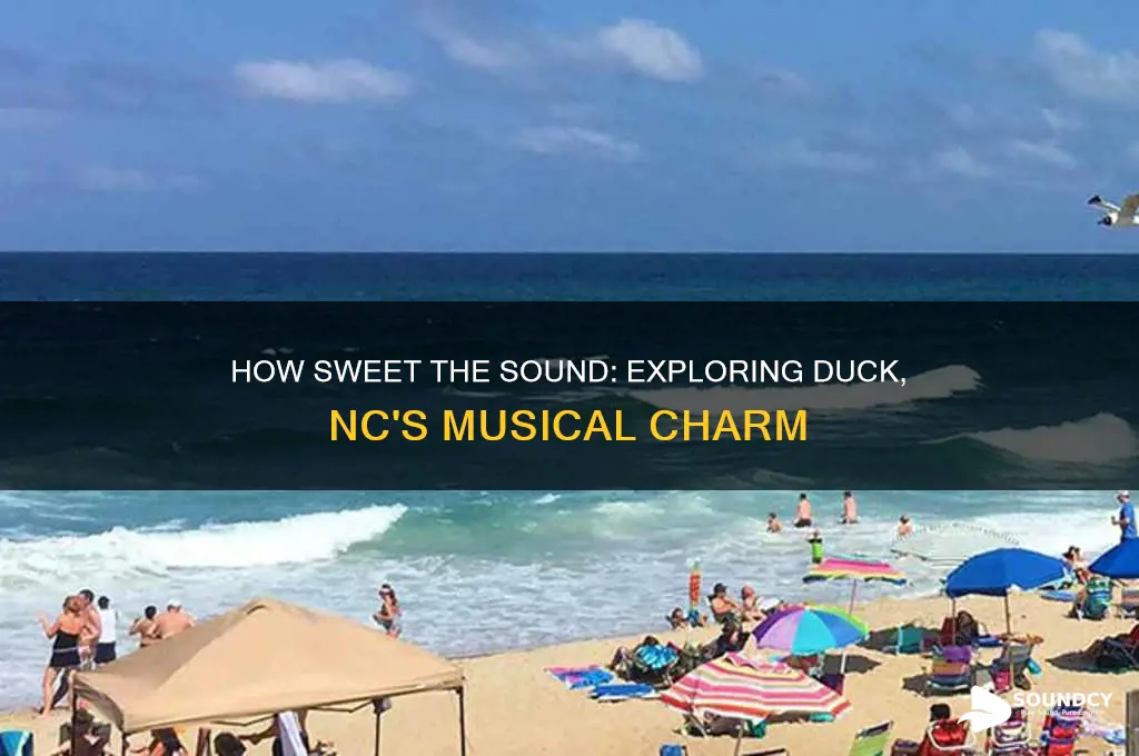 how sweet the sound duck nc