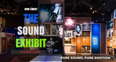 How Sweet the Sound: Exploring the Soulful Exhibit's Musical Journey