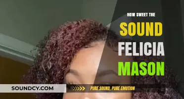 How Sweet the Sound: Felicia Mason's Soulful Journey in Music