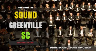 How Sweet the Sound: Greenville, SC's Musical Legacy and Charm