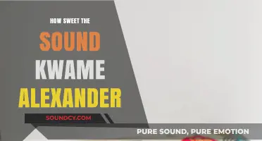 How Sweet the Sound: Kwame Alexander's Poetic Journey Through Life and Rhythm