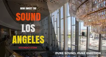 How Sweet the Sound: Exploring Los Angeles' Musical Soul and Vibes