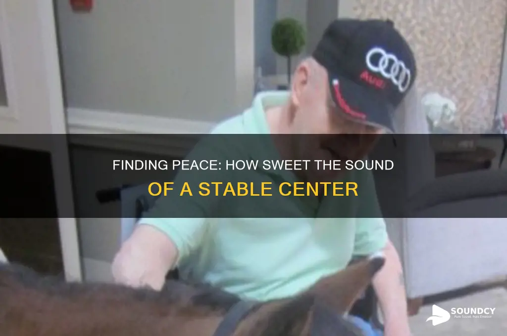 how sweet the sound stable center