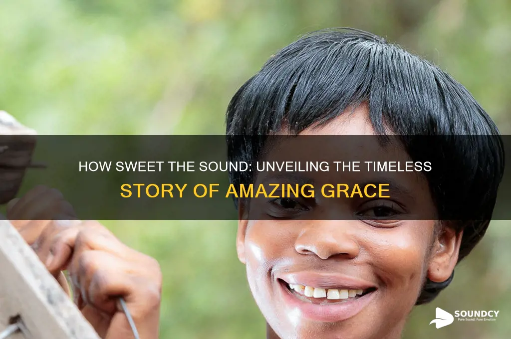 how sweet the sound the story of amazing grace