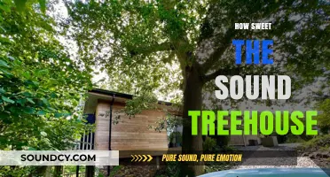 How Sweet the Sound: Exploring the Magic of Treehouse Serenity