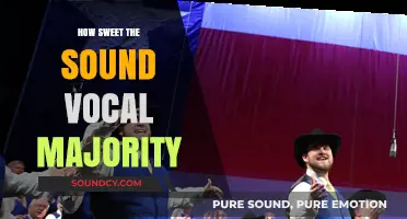 How Sweet the Sound: The Vocal Majority's Harmonic Legacy Explored