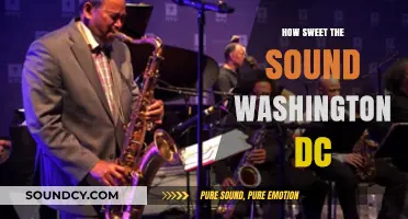 How Sweet the Sound: Exploring Washington DC's Musical Soul