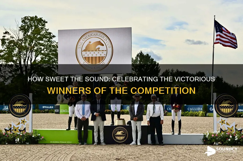 how sweet the sound winners