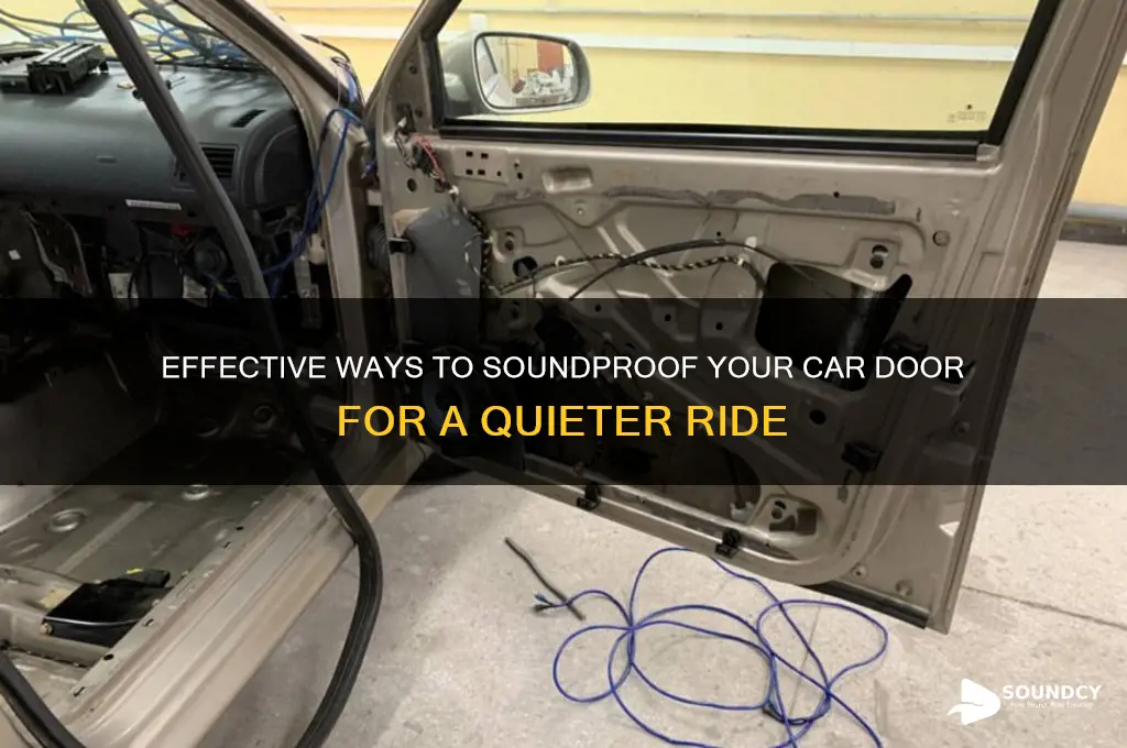 how t9 sound proof car door