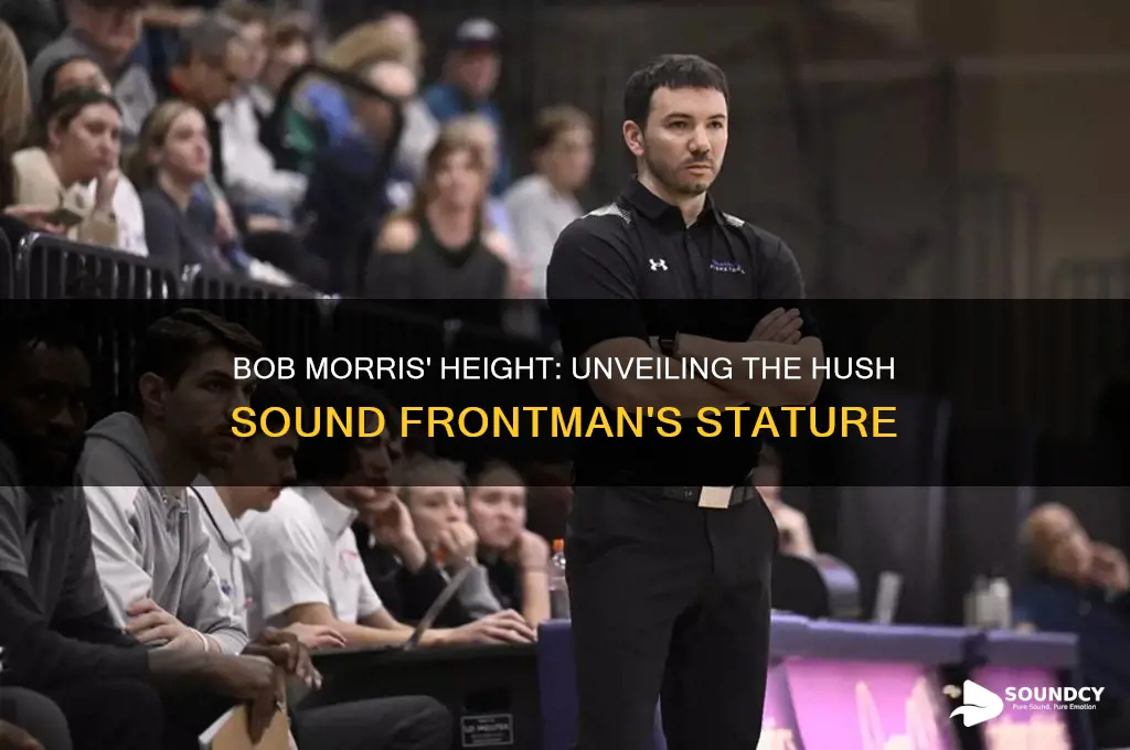 how tall is bob morris from the hush sound