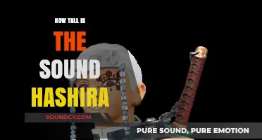 Discovering the Impressive Height of Demon Slayer's Sound Hashira