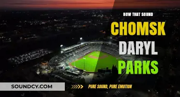 Decoding Language: Chomsky's Influence on Daryl Parks' Sonic Philosophy