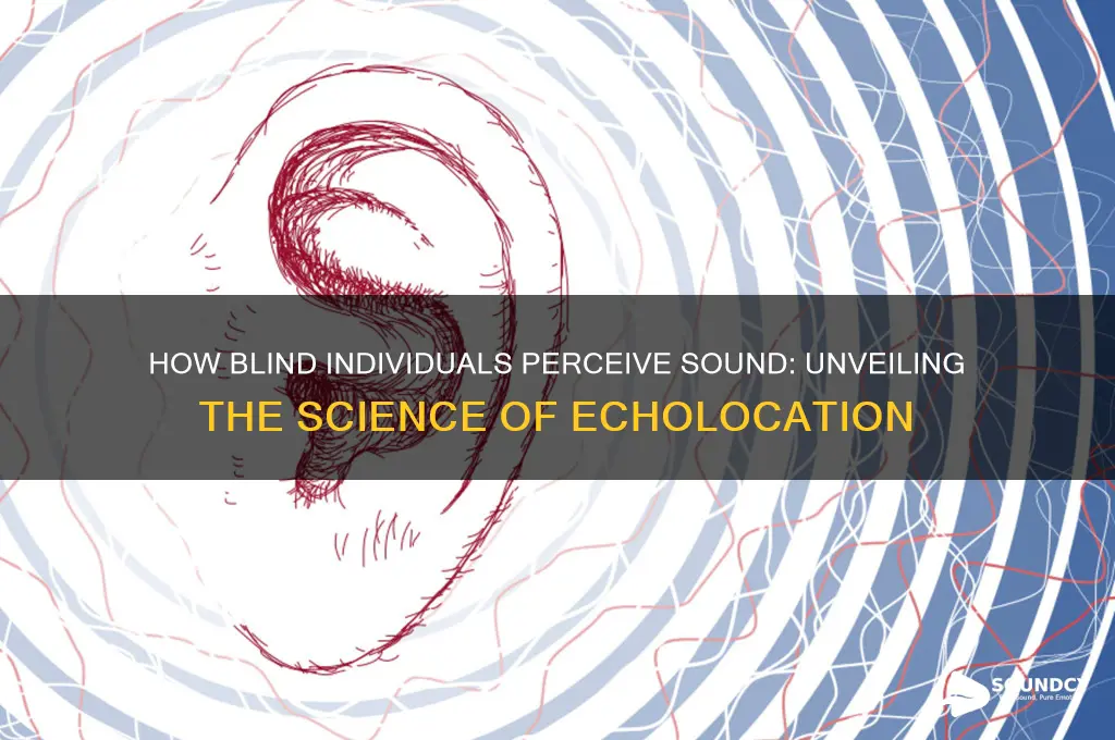 how the blind see sound