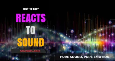 How Sound Waves Influence Our Body's Reactions and Responses