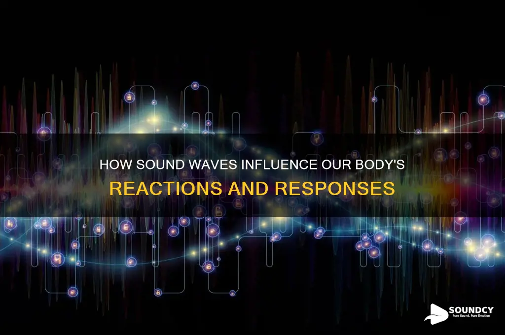 how the body reacts to sound