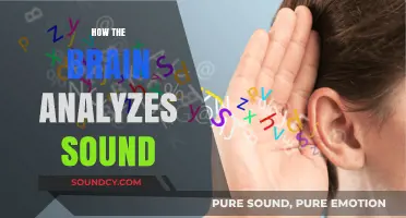 Decoding Sound: The Brain's Complex Process of Auditory Analysis