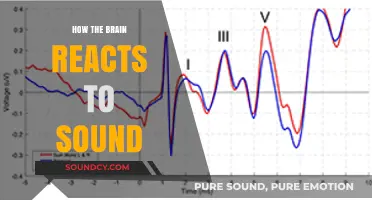 Unraveling the Brain's Auditory Response: How Sound Shapes Perception and Emotion
