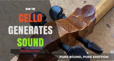 Unveiling the Cello's Sonic Magic: How Vibrations Create Rich Tones
